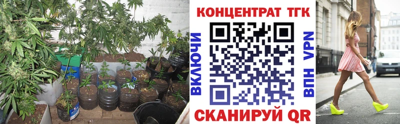 ТГК THC oil  Черняховск 