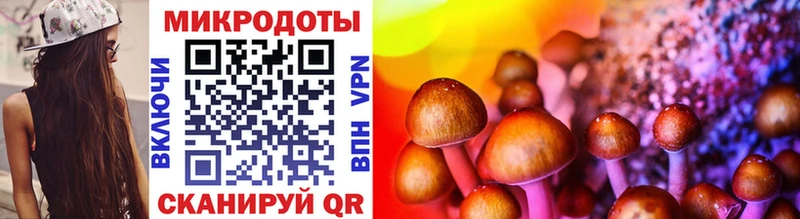 Псилоцибиновые грибы MAGIC MUSHROOMS  мега маркетплейс  Черняховск 