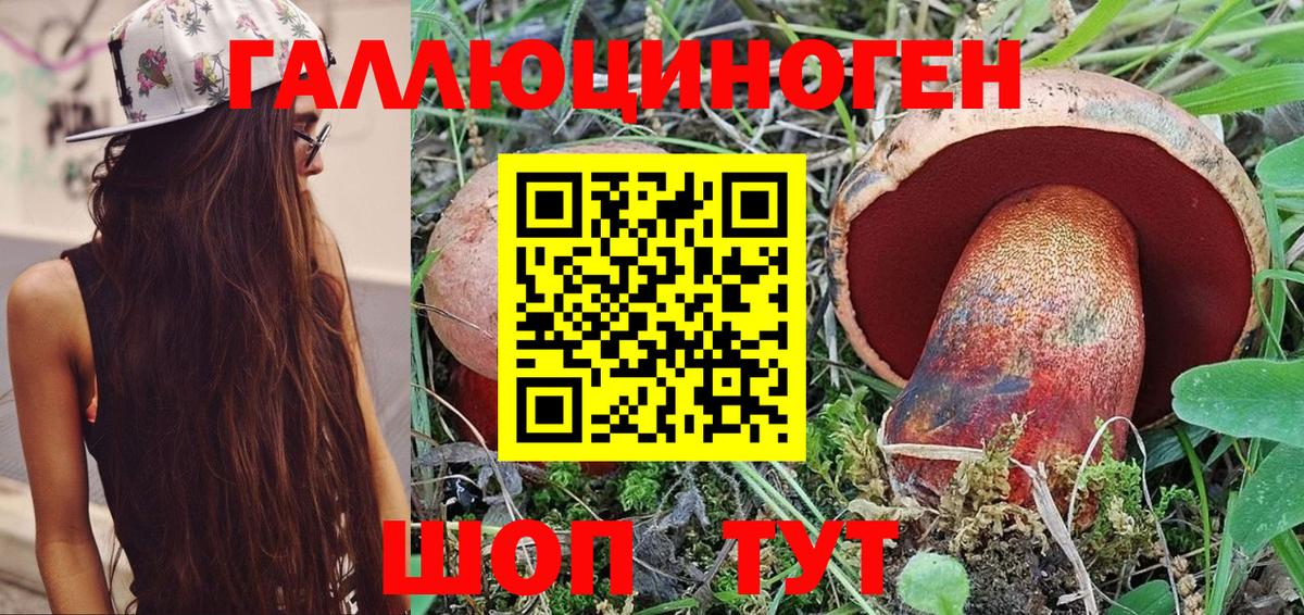 Черняховск  купить   Вход с VPN  Псилоцибиновые грибы Psilocybe 