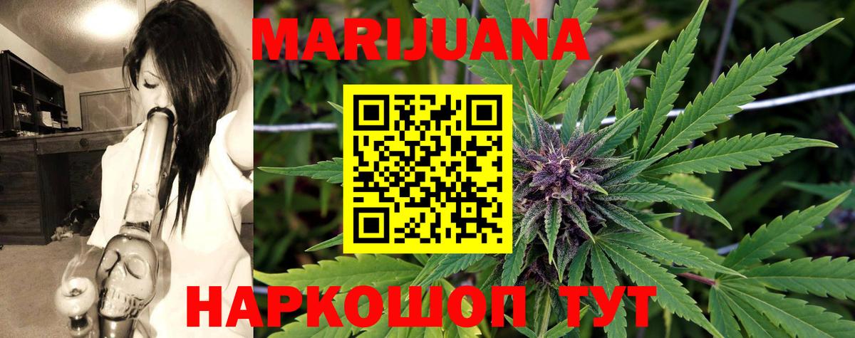 Каннабис конопля Черняховск